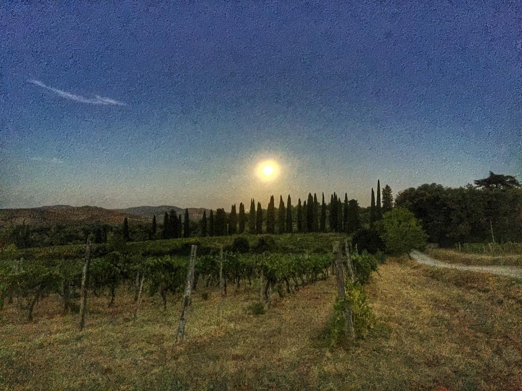 Tenuta Lupinari Bucine Exterior foto